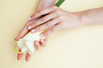 pretty perfect woman hands with white manicure and big flowercalla lily on pastel yellow background, cosmetic concept