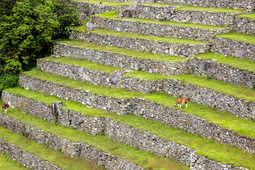 City of Machu Picchu, Cusco, Peru