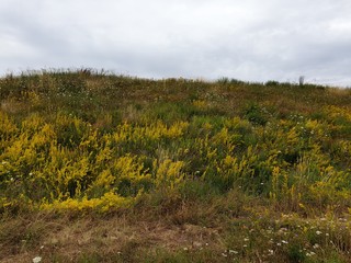 Idylle im Ruhrgebiet