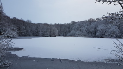 Winteridylle in Westfalen