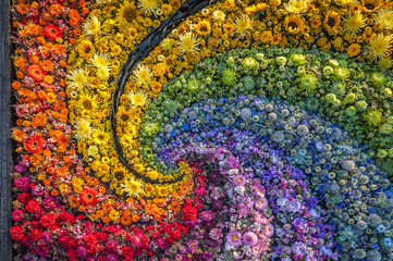  Flowers background. Rainbow carpet of cut flowers. Top view. Holiday background.