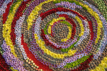 Flowers background. Round carpet made of cut flowers. Flowerbed, top view, copy space. Gretting card, postcard.