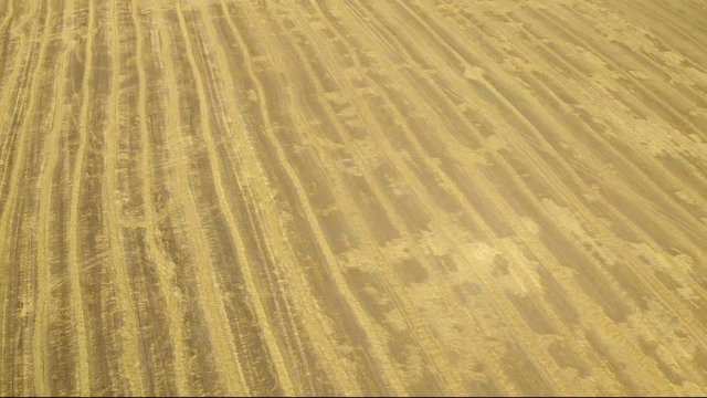 Aerial view. Field after the harvest of wheat. Harvesting of wheat in summer. View from above. View from drone.