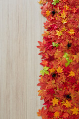 autumn background of free space and autumn time