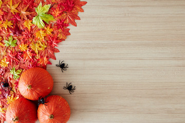 autumn background of free space and autumn time