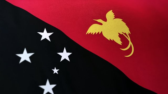 Papua New Guinea national flag seamlessly waving on realistic satin 29.97FPS
