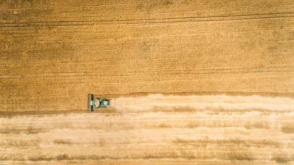 Fototapeta na wymiar Harvester working in field and mows wheat. Ukraine. Aerial view.