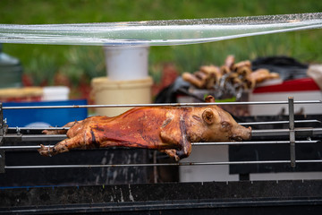 Suckling pig on a spit meat food health fat barbeq fire
