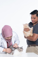 Smiling man and his cat in the veterinary clinic, the doctor examines the pet