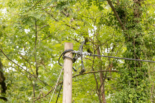 Telefonmast mit Kabel im Wald