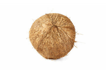 Single of  mature coconut for oil preparing and coconut milk isolated on white background