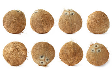 Set of  mature coconut for oil preparing and coconut milk isolated on white background