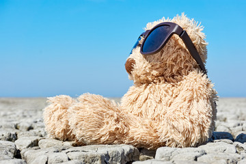 Teddy bear in desolate landscape. Toy bear with dark sunglasses sitting on dry cracked ground with blue sky. Concept of global warming and climate change. Low perspective shot with copy space.  