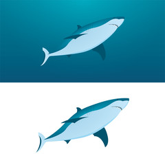 Obraz premium Shark. Sharks vector illustrations set. Cartoon style sharks drawing. Part of set.