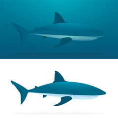 Shark. Sharks vector illustrations set. Cartoon style sharks drawing. Part of set.