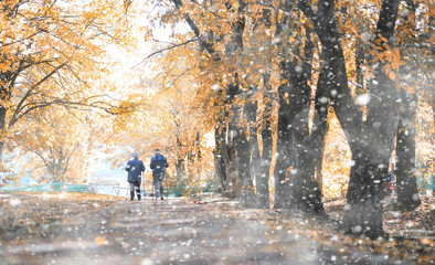Autumn park in the first snow