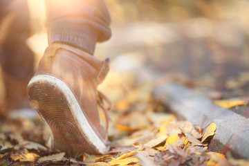 Autumn Park man walking along a path foliage