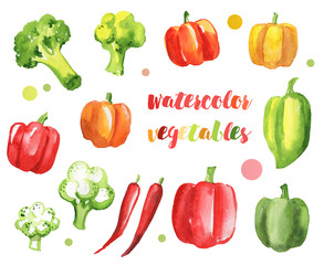 vegetables peppers broccoli cabbage watercolor isolated set multicolored tasty autumn