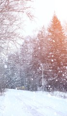 Winter landscape snow covered expanses. A park in the winter in the snow. Road on a winter day.