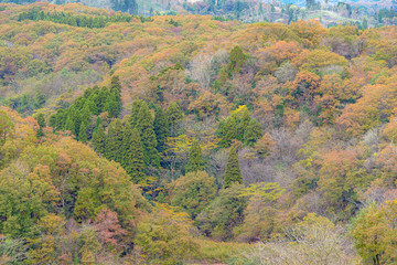 里山の秋景色