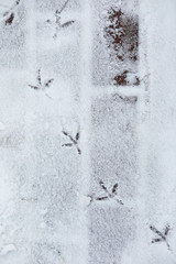 Winter landscape of country fields and roads