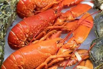 European lobsters on sale in norwegian fish market