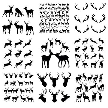 Set of deer. Black silhouette deer isolated on white. Hand drawn vector illustration. deer jump