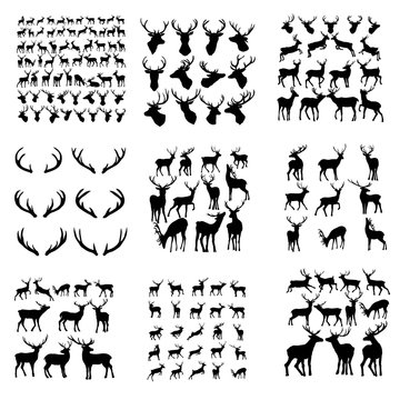 Set of deer. Black silhouette deer isolated on white. Hand drawn vector illustration. deer jump