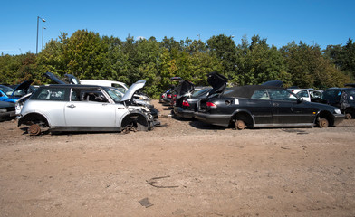 Obraz na płótnie Canvas Scrapped cars in a junk yard