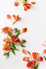 Beauty flowers flat lay with red alstroemeria frame on white background