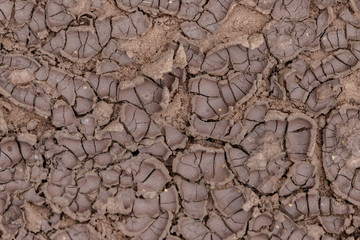 The earth is cracked due to a drought. Pieces of land divided by cracks. Textured abstract background for wallpaper.
