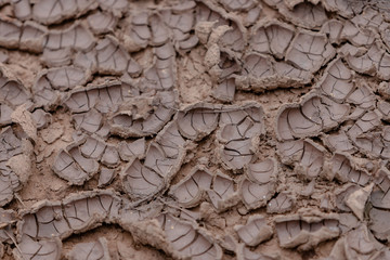 The earth is cracked due to a drought. Pieces of land divided by cracks. Textured abstract background for wallpaper.