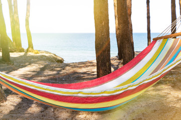 Hammock on the beach at sunset in the shade between the pines.