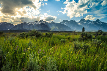 Fototapeta premium Grand Teton Afternoon Light, Grand Teton National Park