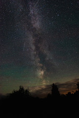 Fototapeta na wymiar Milky way over the forest summer night