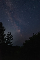 Milky way over the forest summer night