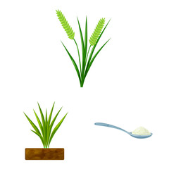 Vector illustration of food and organic symbol. Set of food and agricultural vector icon for stock.