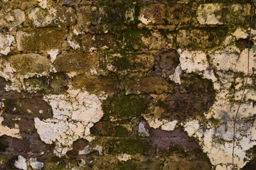 Detail of an old wall with dirty and damp plaster