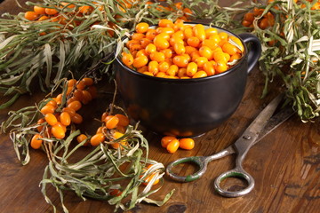 Sea buckthorn berries garden fresh crop in black Cup on wooden table texture