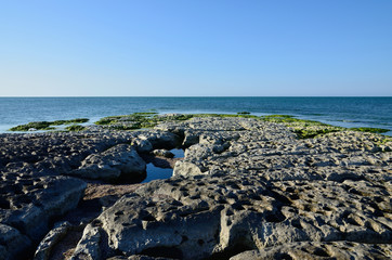 Fototapeta na wymiar Caspian Sea coast in summer