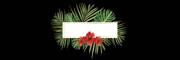 Tropical flower. Jungle palm and tropic background. Vector floral illustration. Green tropical flower banner