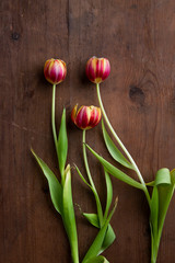Fresh tulips on wooden table