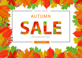 Bright banner for autumn sale in frame from leaves. Vector illustration.