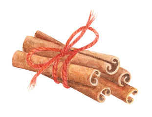 Watercolor cinnamon isolated on white background