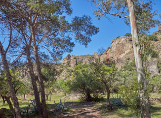 View from the trail to El Santo at the Raja Ancha Recreation Park, amongst the Eucalyptus trees on a hot afternoon. Pizarra, Andalucia, Spain.