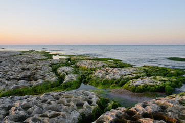 Caspian Sea coast in summer