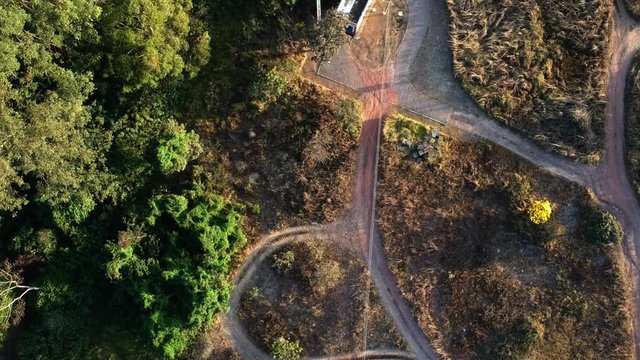 HD aerial drone footage of trees and dirt road in Brasilia, Brazil near Lake Paranoa with birds flying by underneath.