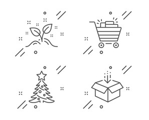 Christmas tree, Startup concept and Shopping cart line icons set. Get box sign. Spruce, Launch project, Gifts. Send package. Business set. Line christmas tree outline icon. Vector