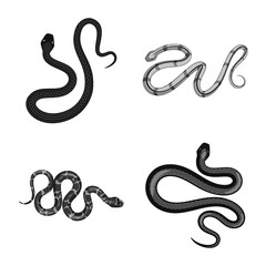 Isolated object of harm and bite sign. Set of harm and reptile vector icon for stock.