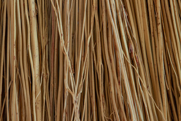 broom grass texture straw background